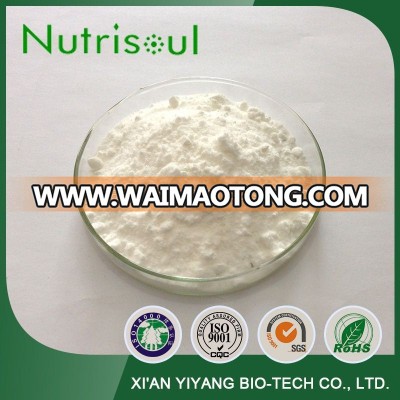 Supply 100% Natural enzyme preparation Transglutaminase